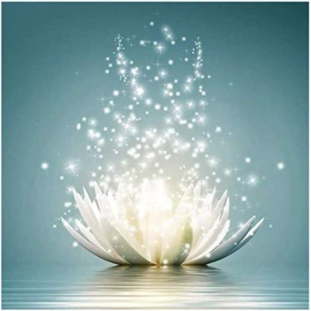 Meet your Posher, Dianna